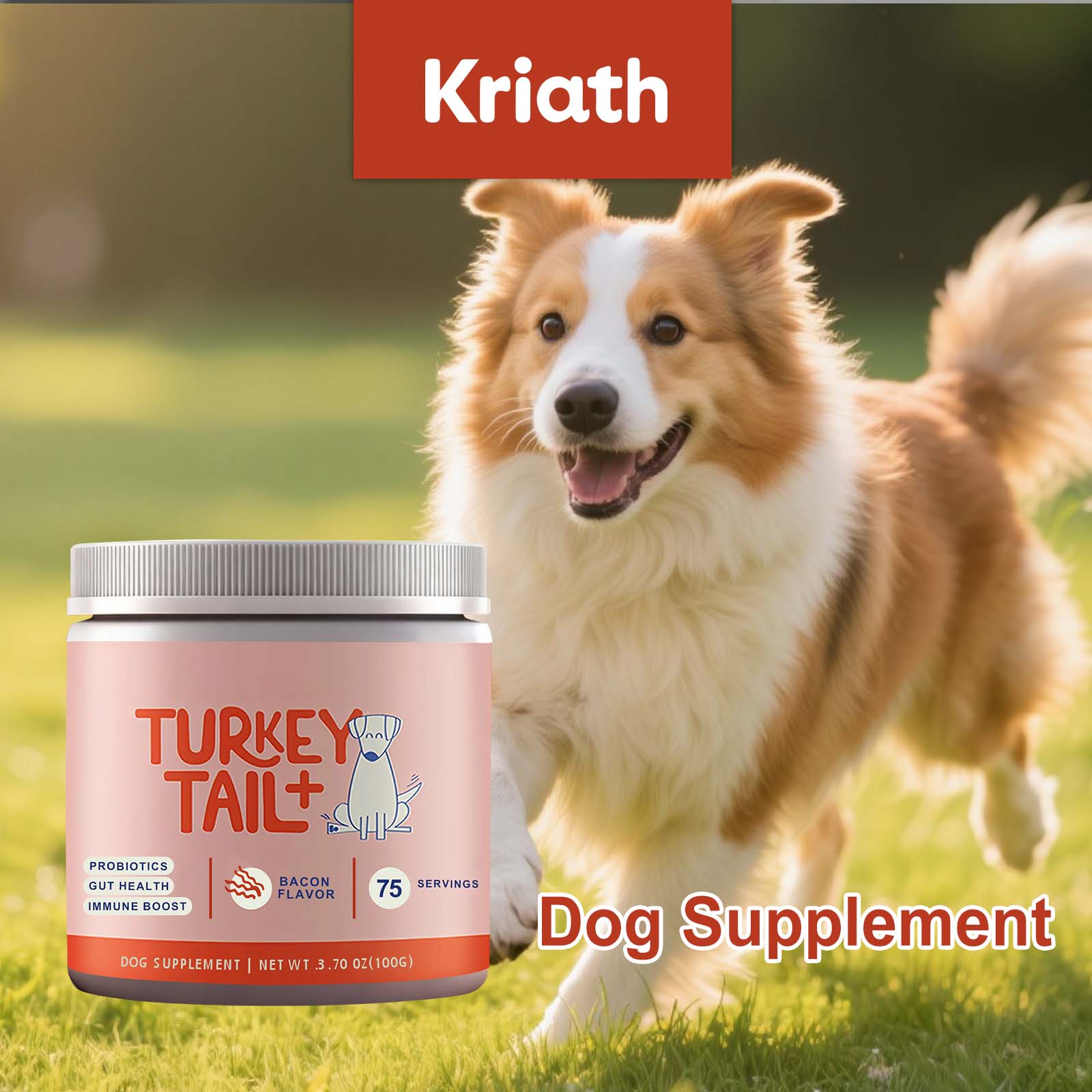 Canine Probiotic Powder Intest - огляд і ціна Health Wellness Vitality