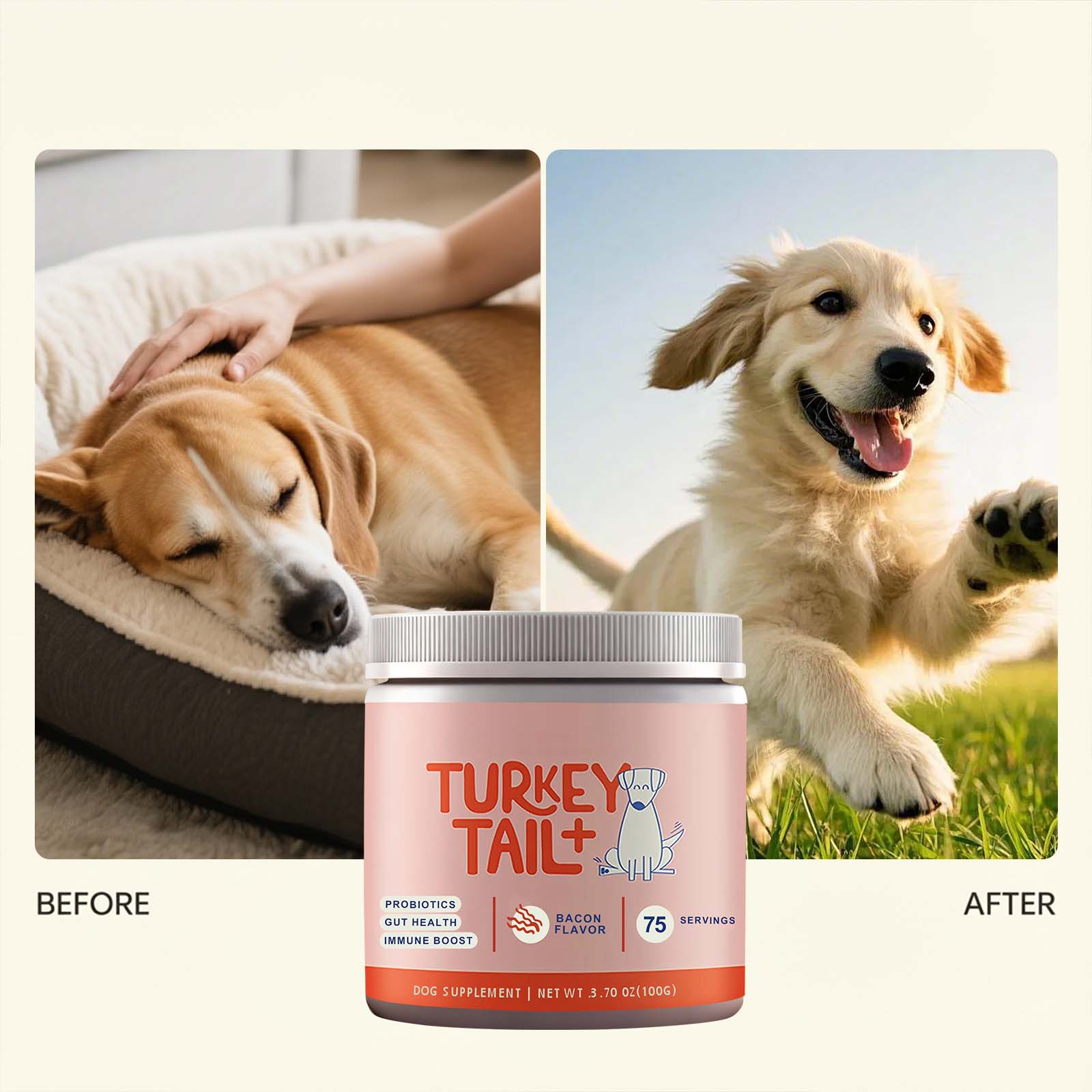 Canine Probiotic Powder Intest - огляд і ціна Health Wellness Vitality