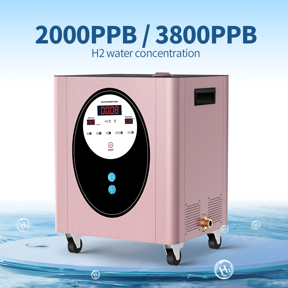 SUYZEKO Whole House Hydrogen W - огляд і ціна Health Wellness Spa